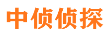 宝兴侦探公司